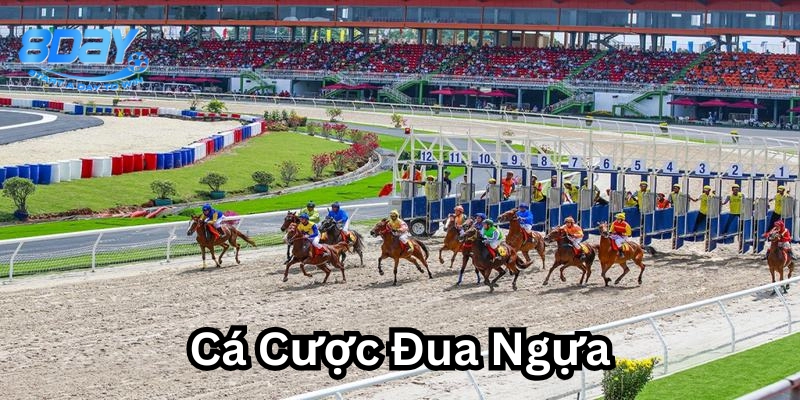 Cá Cược Đua Ngựa là gì?